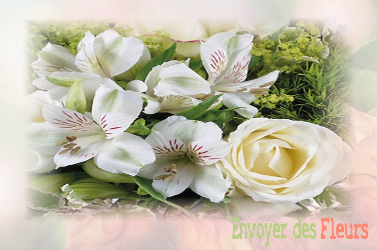 envoyer des fleurs à à SAINT-DENIS-D-OLERON